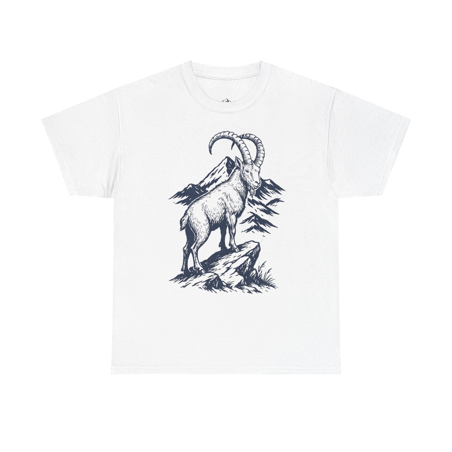 Capricorn