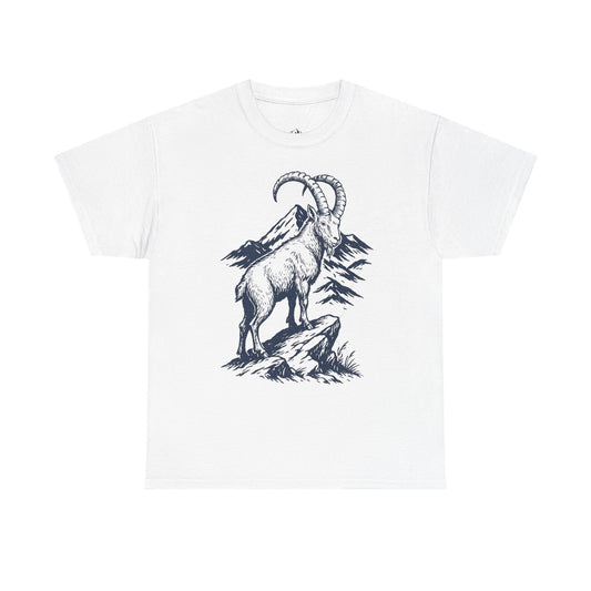 Capricorn